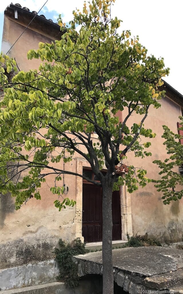 Autumn Week South of France