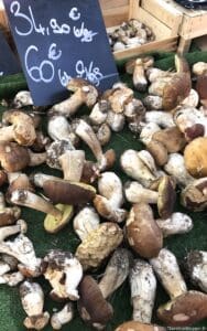 Autumn Week South of France