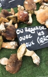 Autumn Week South of France
