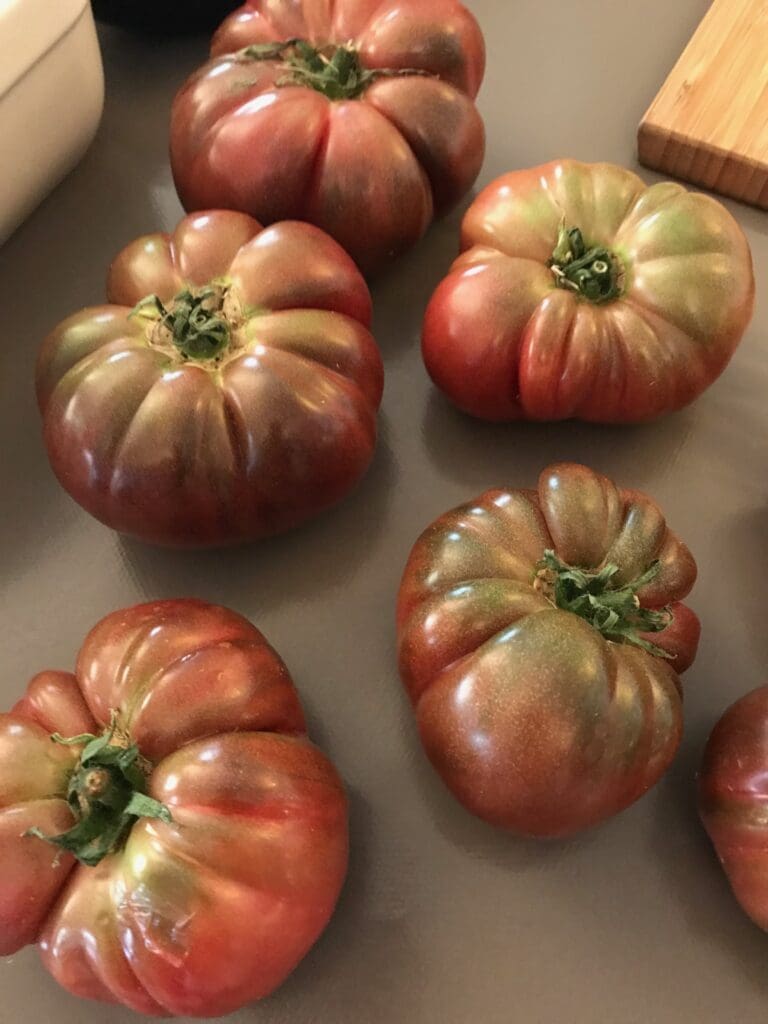 Cooking Class in Marseille