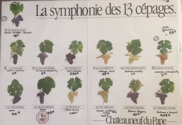 Chateauneuf-du-Pape Wine Tour