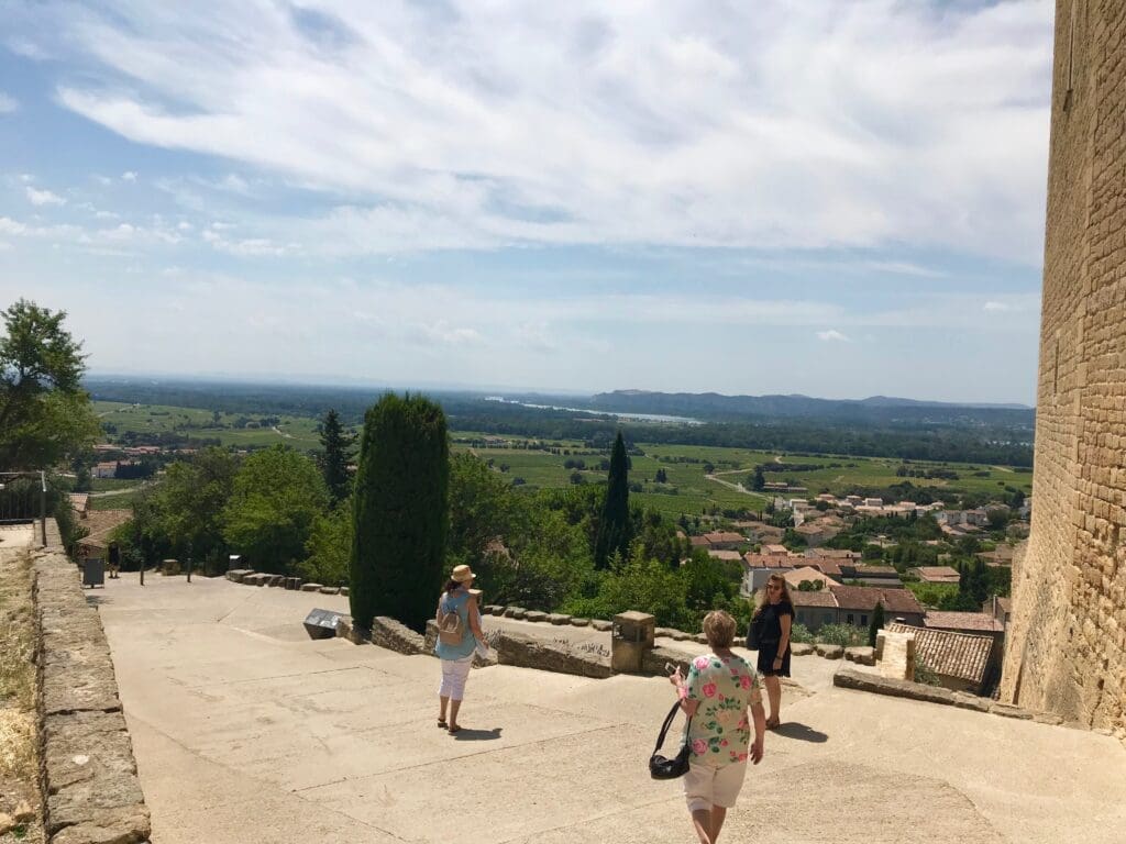 Chateauneuf-du-Pape Wine Tour
