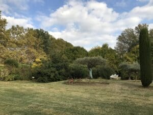 Behind French Garden Walls