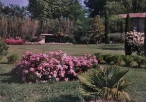 Behind French garden walls