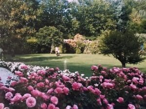 Behind French garden walls