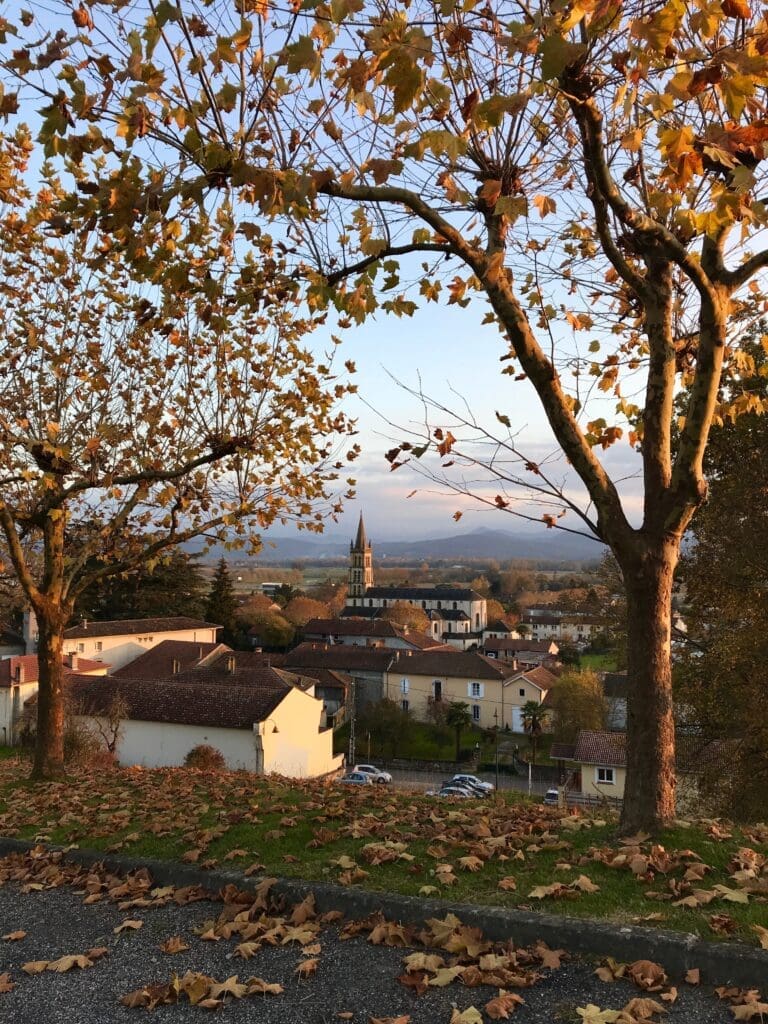Wish for France