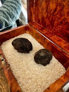 Uzès Truffle Festival