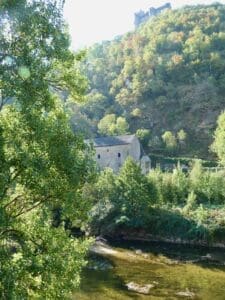 Mini Rocamadour