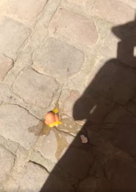 heat wave in uzès