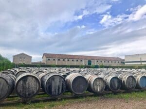 wine tasting and canal cruising