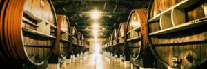 wine tasting and canal cruising