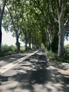 French Drivers' Test