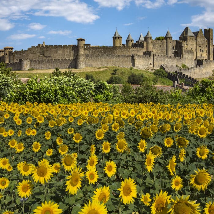 carcassonne