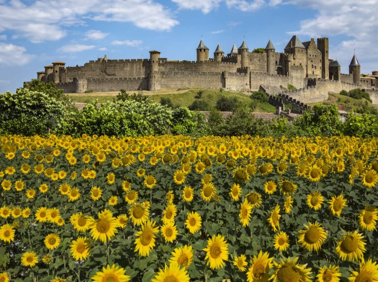 carcassonne