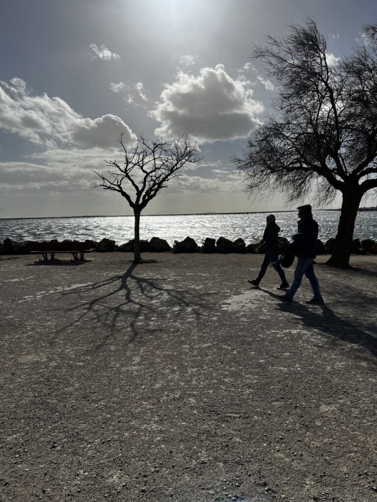 Bouziques shore