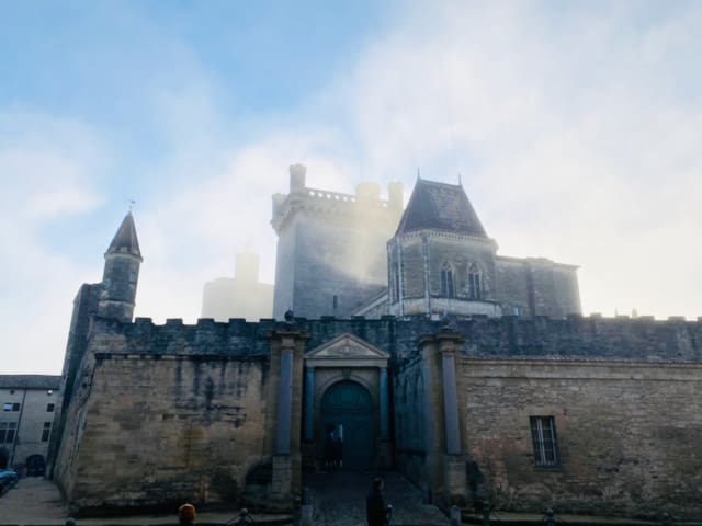 Chateau du Duche