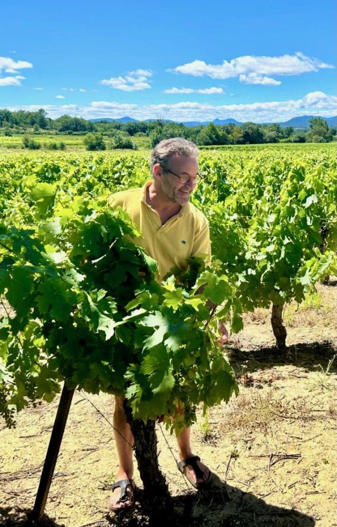 South of France wines are captivating the world
